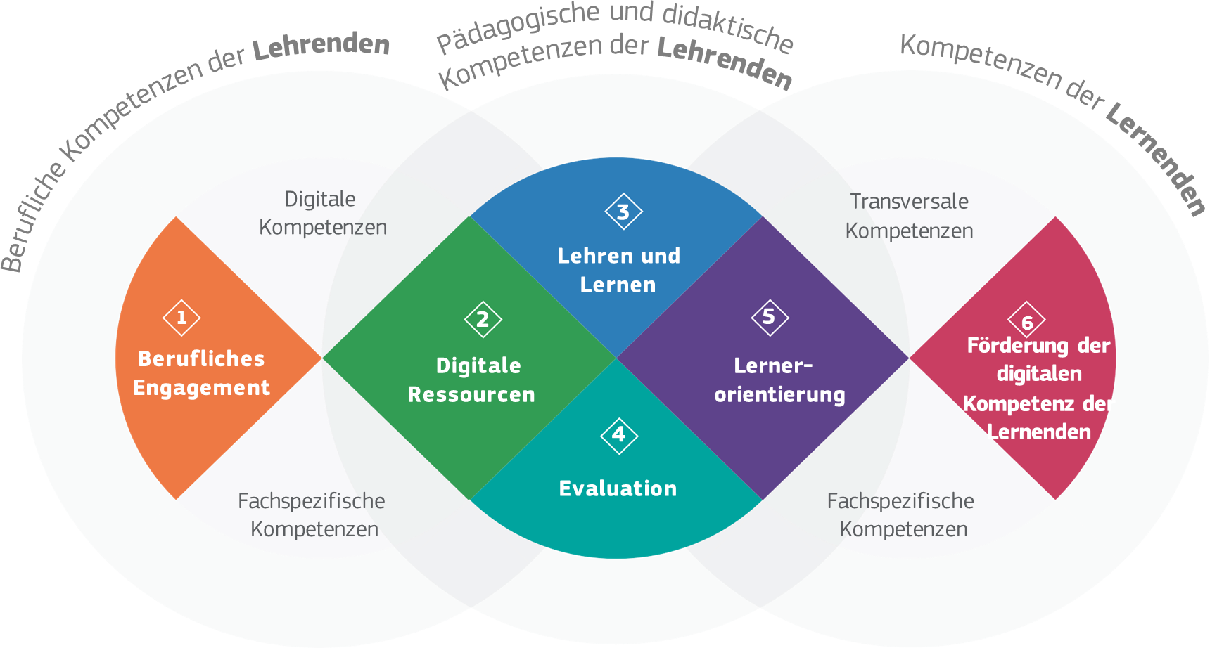 Die Kompetenzen von Lehrenden gestalten sich vielfältig 