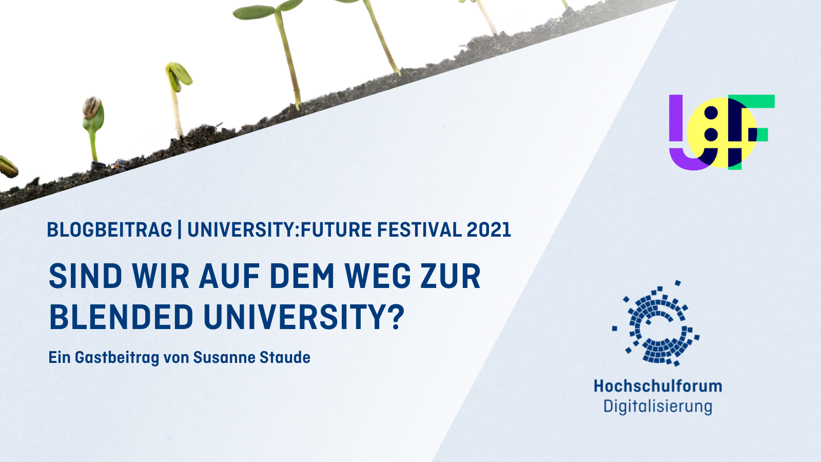 Titelbild: Sind wir auf dem Weg zur Blended University? Symbolbild: Keimender Setzling, Logo: University:Future Festival 2021, Hochschulforum Digitalisierung