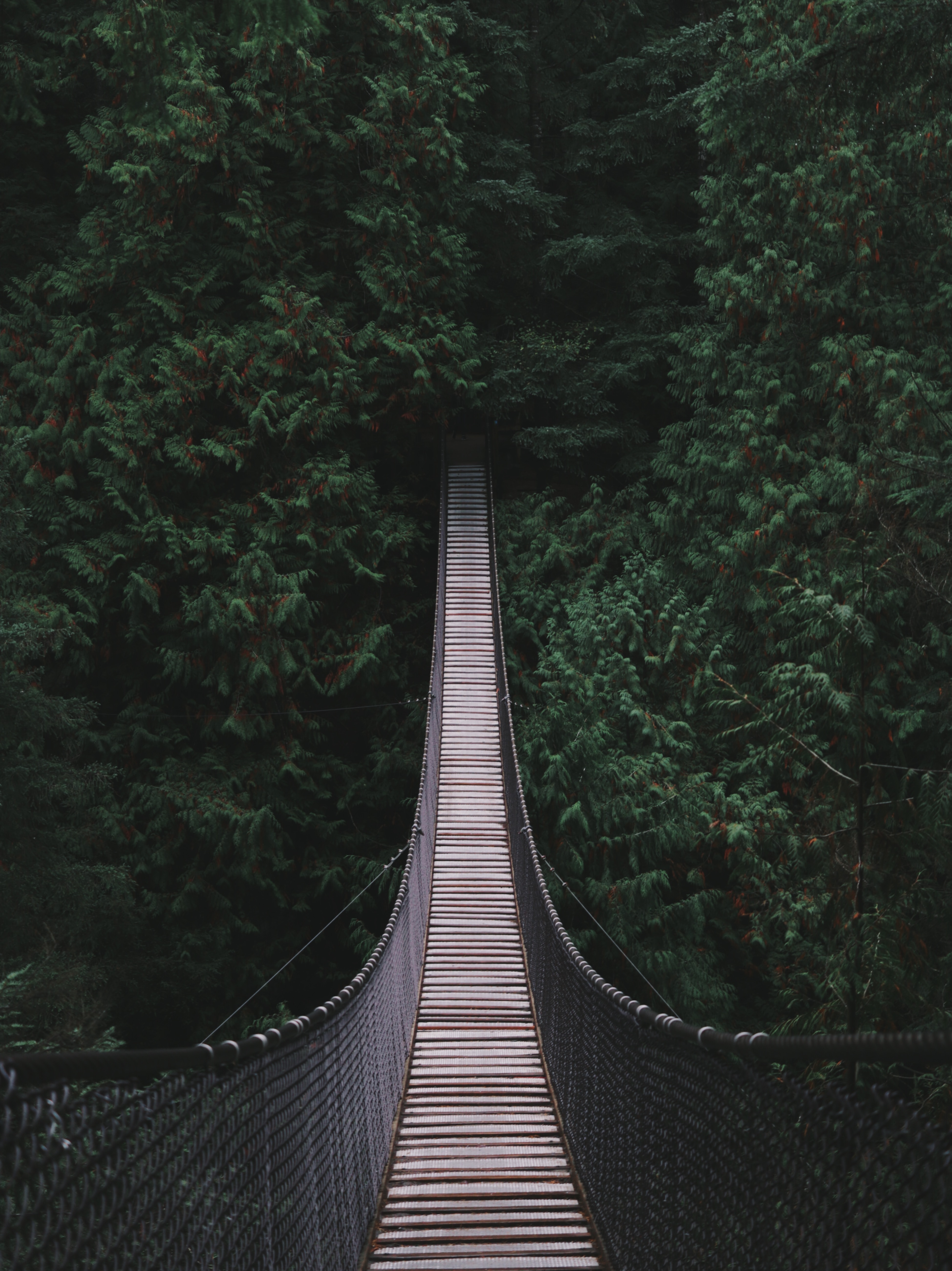 In the workshop, bridges were built.