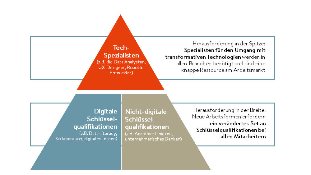 Schaubild