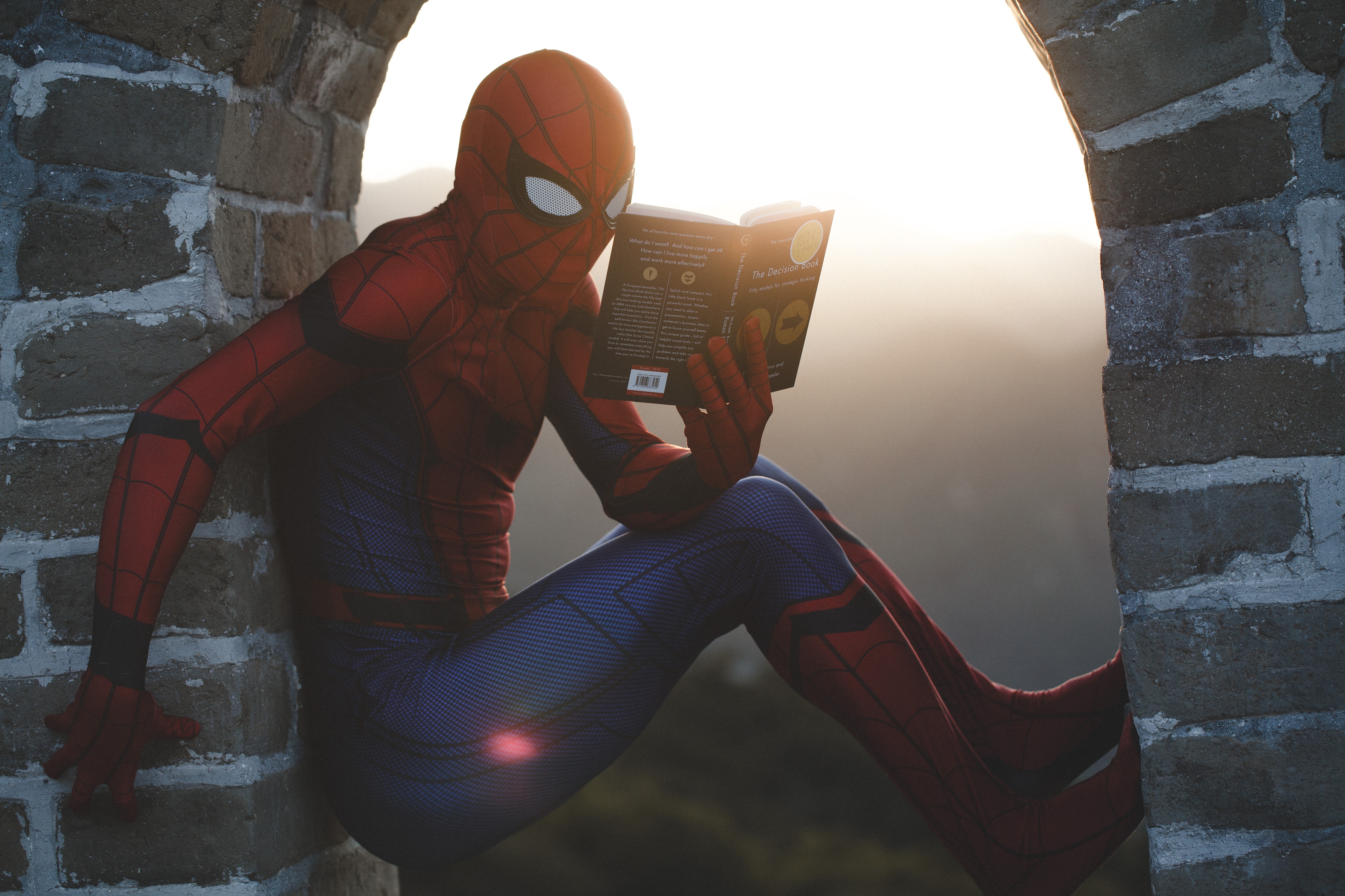 Geht es um Data Literacy? In jedem Fall: Spidermann liest