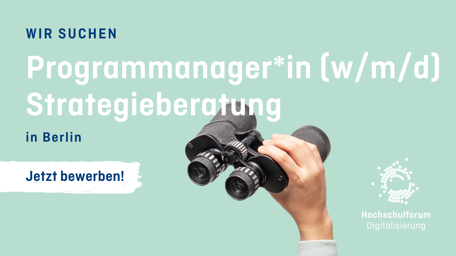 Wir suchen: Programmmanager*in (m/w/d) Stategieberatung in Berlin - jetzt bewerben!